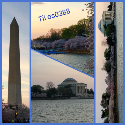 Today In Ios Podcast - The Unofficial Ios, Iphone, Ipad, And Apple Watch News And Iphone Apps Podcast