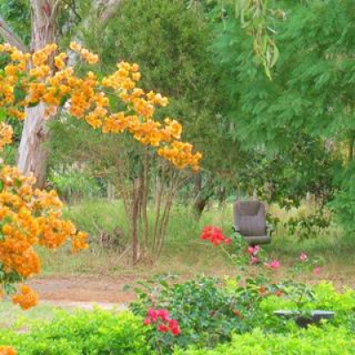 Skevos Mavross Posts