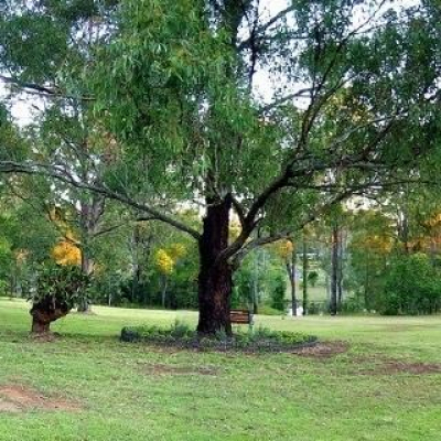 Skevos Mavross Posts