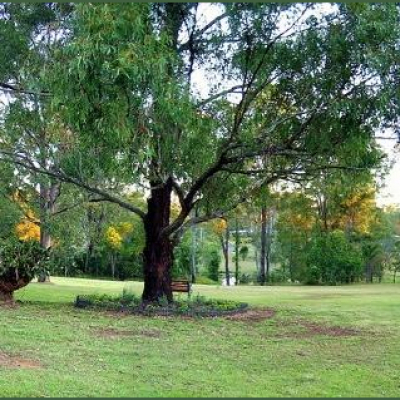 Skevos Mavross Posts