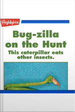 Bug-zilla on the Hunt