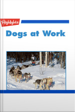 Dogs at Work