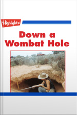 Down a Wombat Hole