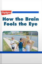 How the Brain Fools the Eye