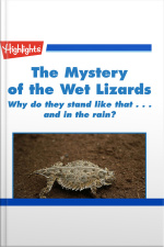 The Mystery of the Wet Lizards