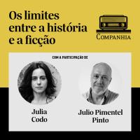 Os limites entre a história e a ficção