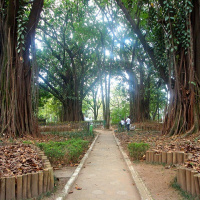 Nosso papel é garantir que o contrato seja cumprido, diz diretor da ARSESP sobre fiscalização de parques