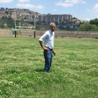 Il manto erboso del Tomaselli e il Maestro Raffaele Ammendola