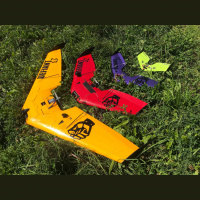 066 Shawn Shepard “DEFIANT WINGS”