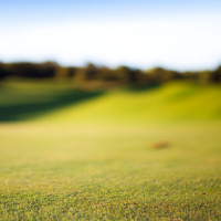 Golfin in Niagara with my boys