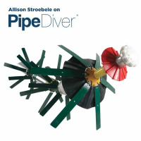 100116 - Allison Stroebele Interview