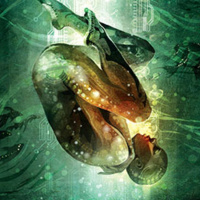 PUPDC #011 – Escalada al Mundial