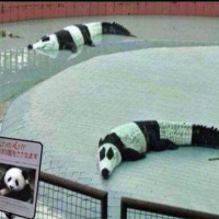 14: The Zoo LIVE (Jim Butcher, Senda, Rich Malena, Angela Webber)