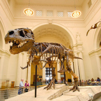 20: The Museum (Doubleclicks Playset!)(Will Hindmarch, Lucia Fasano, Rich Malena, Angela M. Webber)