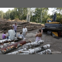 Работа юриста Гринпис России (14) 