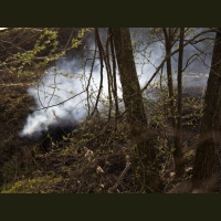 Пожарная опасность (18) 