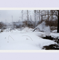 Greenpeace в России: противопожарный проект (3) (слайдкаст)