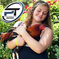 Comedian Pleads Not Guilty, Chicken Thief  Supreme Court Rules On Texas Congressional Maps 