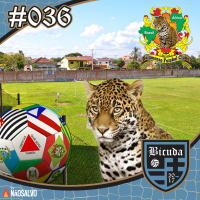 Bicuda #036 - Estaduais pelo Brasil