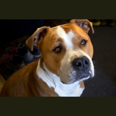 Claudia Montecinos Castro Podcast