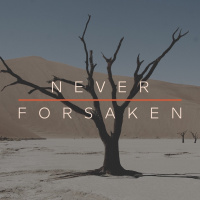 Never Forsaken