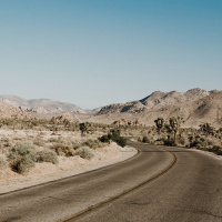 The Persecuted Church