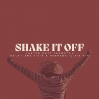 Shake It Off