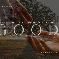 So Is It Really Good?