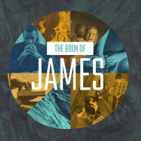 Week 6 - Be Patient and In Prayer