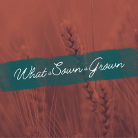 What is Sown is Grown - Galatians 6:7-9 - Seth Anderson