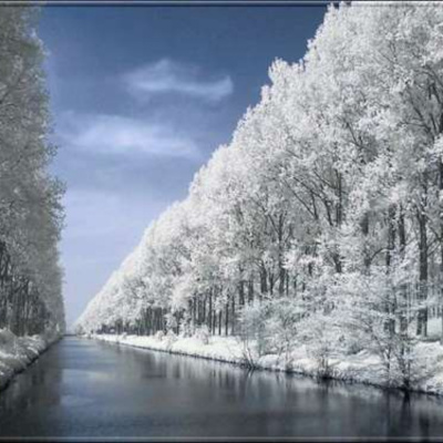 Cuentos De Miguel Tadeo