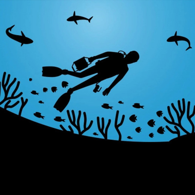 The Dv Show - Video Production Just Got Easier