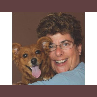 All Things Franchising - Scent Hound