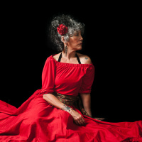 Iraida Noriega: 35 años de trayectoria musical