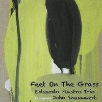 Feet on the Grass, nuevo disco de Eduardo Piastro