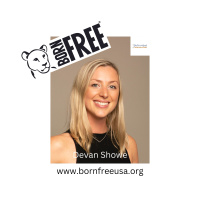 The Power of Social Media: How You Can Help Stop the Exploitation of Wild Animals With Devan Showe: Born Free USA