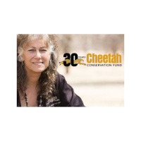 The Global Effort to Conserve Cheetahs With Dr. Laurie Marker of CCF