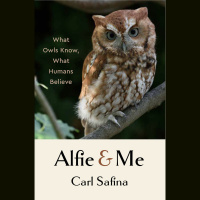 Carl Safina: Author of Alfie and Me: What Owls Know and What Humans Believe