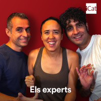 Els experts, de 6 a 7 h - 04/07/2025
