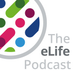 Elife