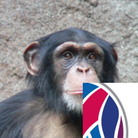 Fossil Flowers, and Fur Seal Parasites