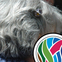 Does stress turn your hair grey?