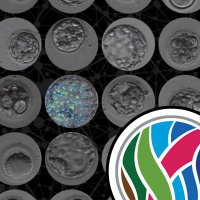 AI for infertility, and scar-free healing