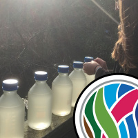 Psychedelic drugs and river water bugs