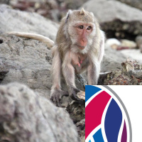 Is science getting harder to understand?