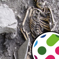 Human birth trigger genes, and clam cancer