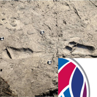 Footprints of the past