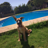 Casi Se Comieron A Freija