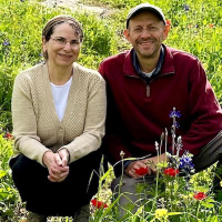 Balancing Love and Money: Financial Conversations for Couples