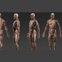 Rafa Souza, Modelador 3D – Episódio 69